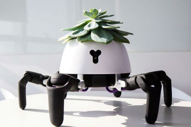 Praticidade aliada à tecnologia: Robô Hexa